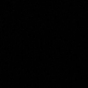 Meet your Posher, Gianna